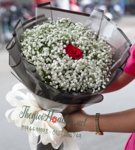 BÓ HOA HỒNG NGÀY PHỤ NỮ VIỆT NAM 20 THÁNG 10 BPN120