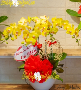 Chậu Lan Hồ Điệp Vàng Tươi 4 Nhánh HD021