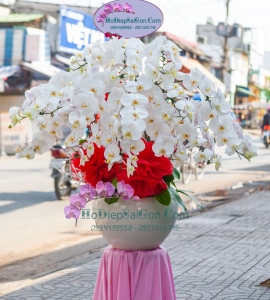 CHẬU LAN HỒ ĐIỆP 17 NHÁNH HD023