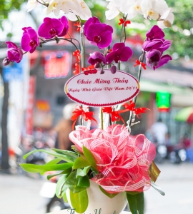 CHẬU LAN HỒ ĐIỆP 5 NHÀNH HD014