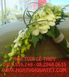 HOA CÔ DÂU CT007