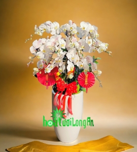 Chậu Lan Hồ Điệp 10 Cành Trắng Tết 2024 HD169