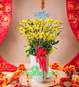 Chậu Lan Hồ Điệp Vàng Tết 2024 HD076