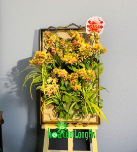 Kệ Tranh Lan Hồ Điệp Ghép Lũa Nghệ Thuật KTD194