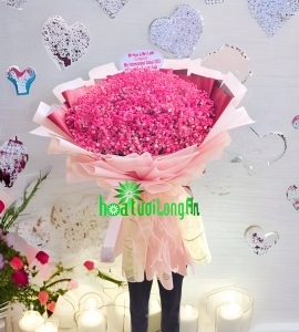 Bó Hoa Baby Lady Pink HB999